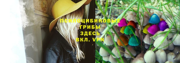 дмт Валдай