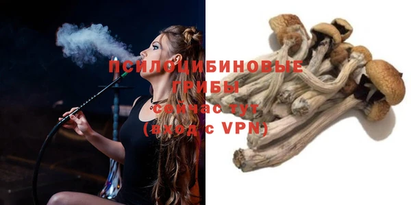 меф VHQ Дмитриев