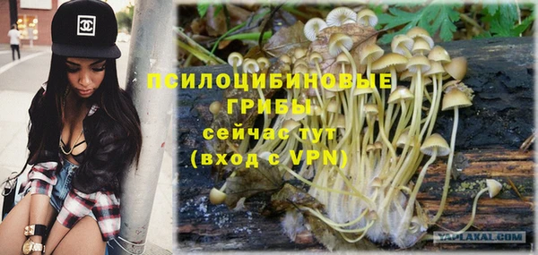 твердый Дмитров