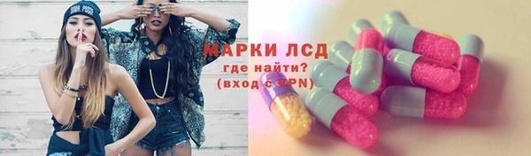 твердый Дмитров