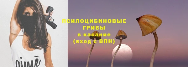 меф VHQ Дмитриев