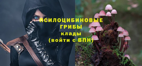 меф VHQ Дмитриев