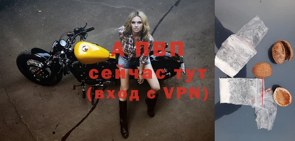ешки Дмитровск