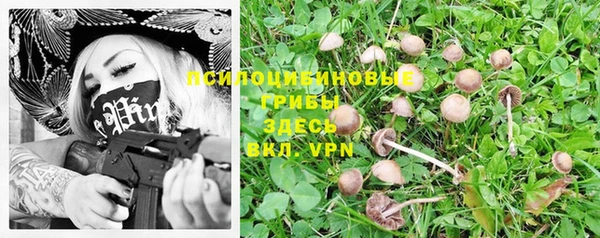 твердый Дмитров
