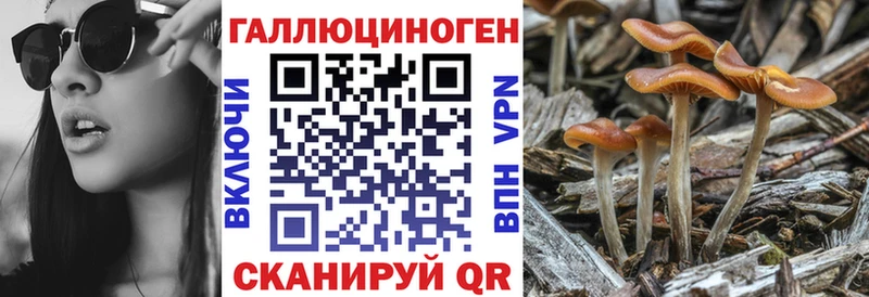Галлюциногенные грибы мицелий  Калач 